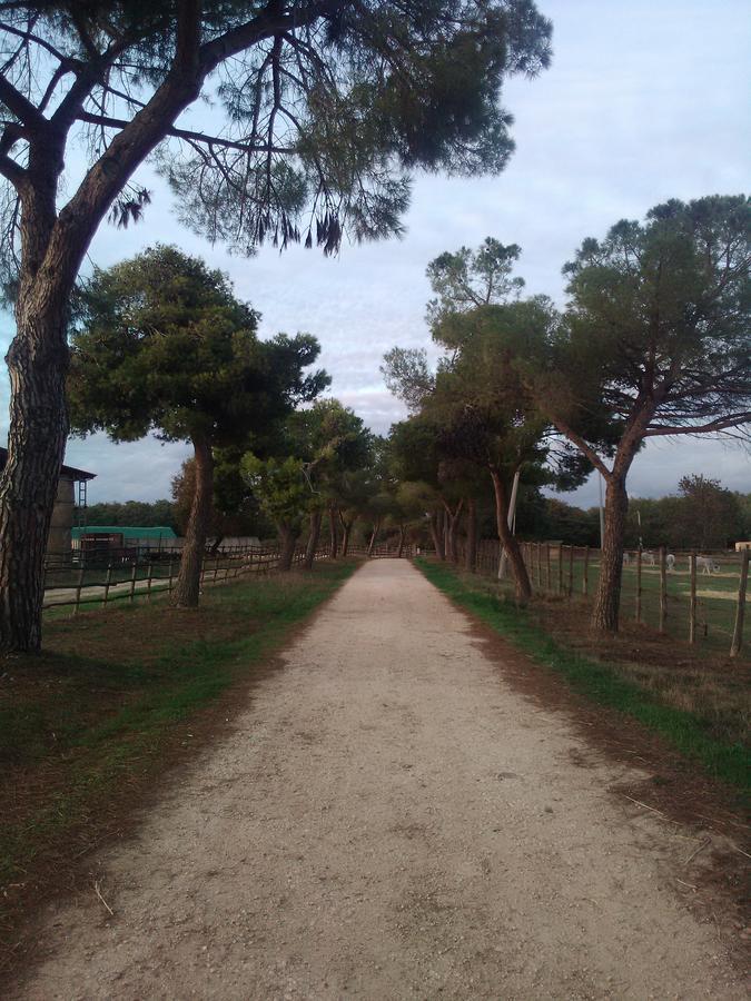 Biocampus La Roccaccia - Universita' Agraria Di Tarquinia Kültér fotó