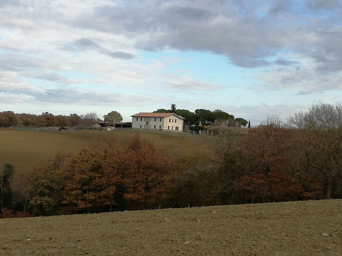 Biocampus La Roccaccia - Universita' Agraria Di Tarquinia Kültér fotó